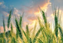 03.09.25 Keskkonna- ja kliimaeesmärke tutvustav infopäev