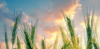 03.09.25 Keskkonna- ja kliimaeesmärke tutvustav infopäev