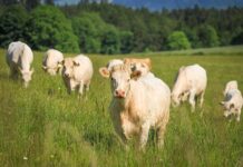 Kutseeksamid septembris 2025