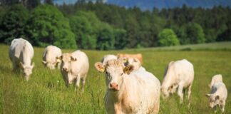 Kutseeksamid septembris 2025